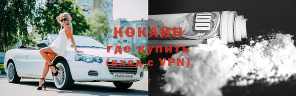 шишки Бронницы