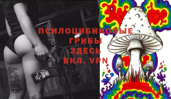 COCAINE Бородино